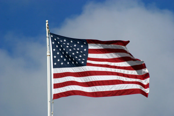 Mastering the Federal Application Process: Essential Insights and FAQs